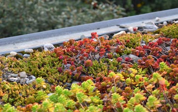 the cost of Greenock West green roof installation