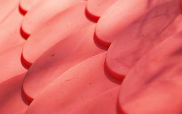 Greenock West plastic roof costs